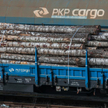 PKP Cargo: Rosną przewozy