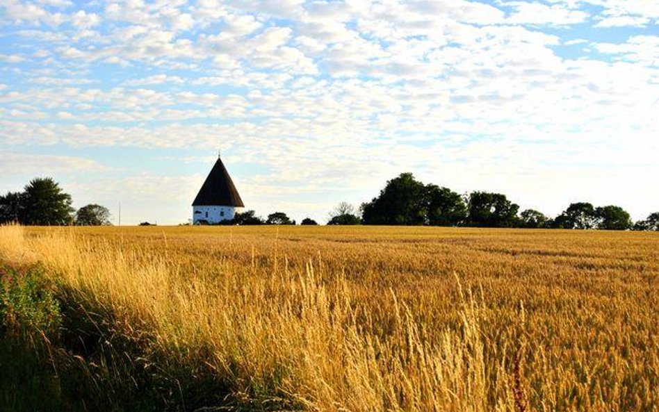 Duńscy rolnicy muszą stosować unijne przepisy o dopłatach do gruntów w zgodzie ?z zasadami obowiązuj