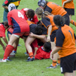 Rząd Tonga "chroni godność kobiet" zakazując grania w rugby