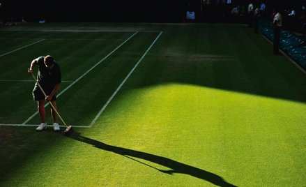 Do zadań opiekuna wimbledońskiej trawy należy codzienne strzyżenie 41 kortów tenisowych, 19 na mecze
