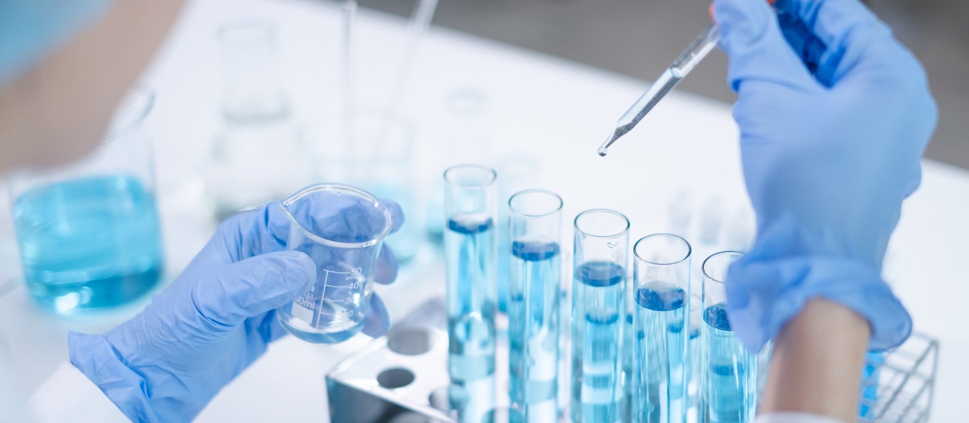 Kalendarium - środa 11 lutego