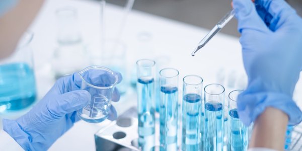 Kalendarium - środa 11 lutego