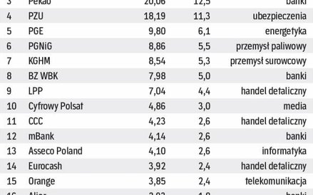 Spółki należące do WIG20