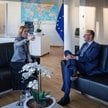 Kaja Kallas i Friedrich Merz.