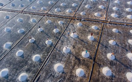 Pola solne przy delcie rzeki Mokong