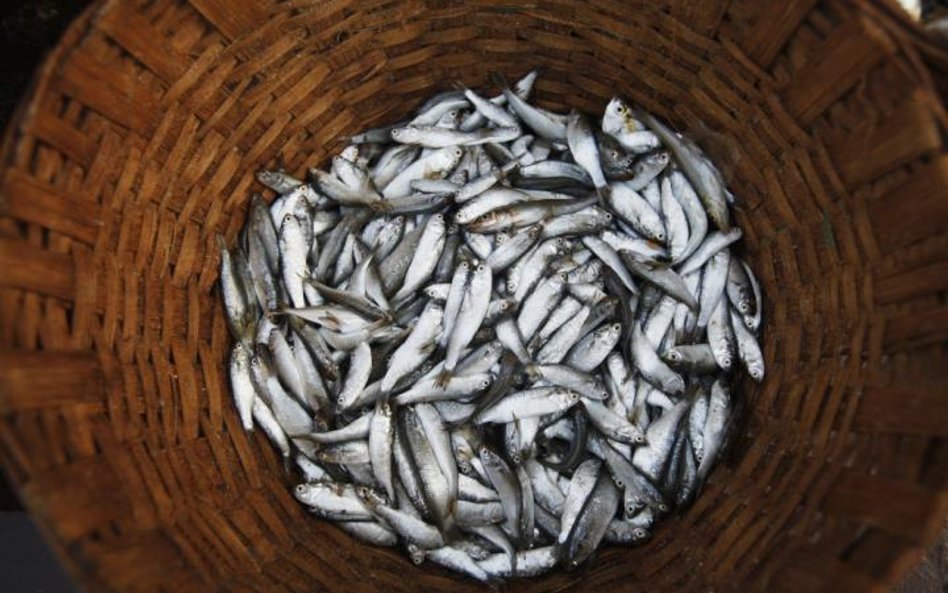 Więcej z dotacji niż z ryb