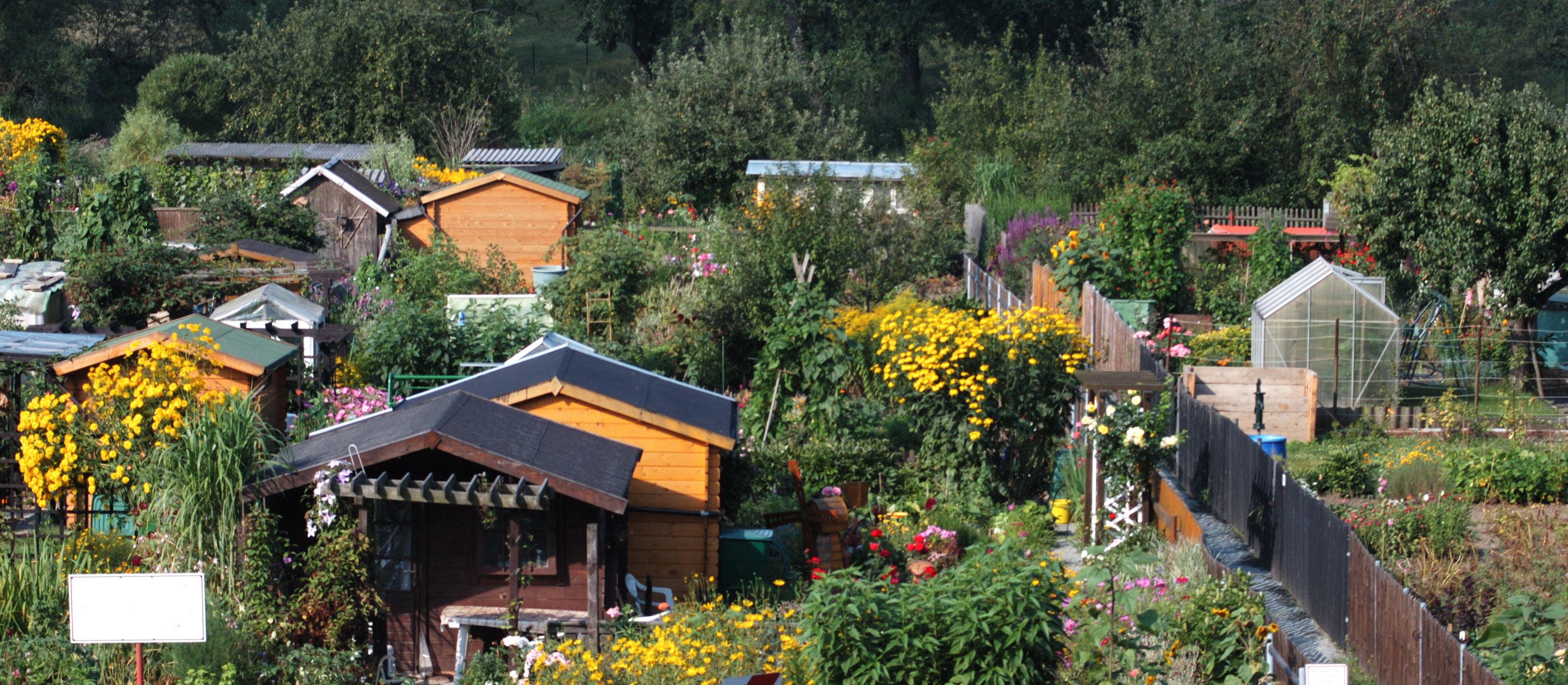 Są dwa sposoby, żeby zostać działkowcem w ROD. Ceny mogą zaskoczyć
