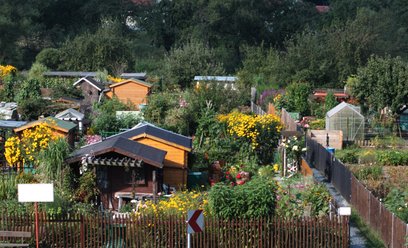 Aby zostać działkowcem, należy dopełnić kilku formalności