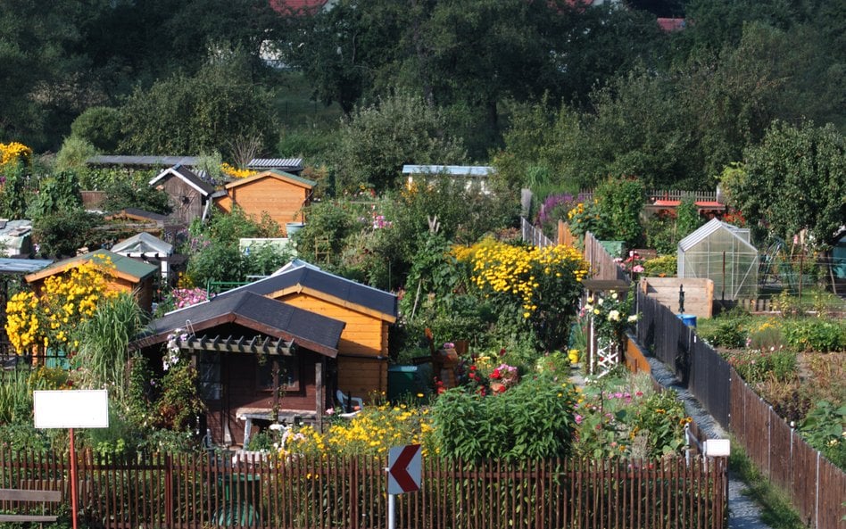 Aby zostać działkowcem, należy dopełnić kilku formalności