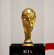 Trofeum FIFA World Cup 2014