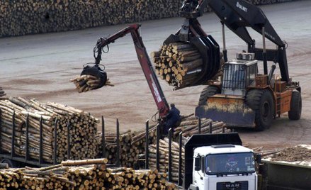 120 mln zł na rozwój branży drzewnej i meblarskiej