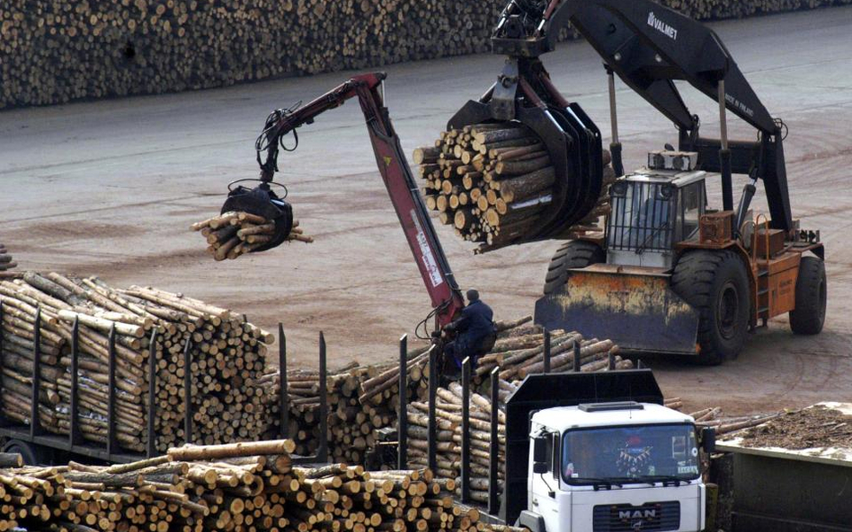 120 mln zł na rozwój branży drzewnej i meblarskiej