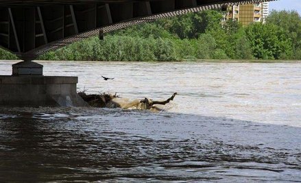 Awaria kolektora: Brudna Wisła, brudna polityka