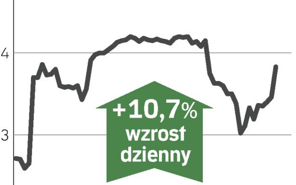 Kurs przewoźnika poszybował w górę