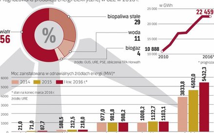 Lądowe farmy wiatrowe to najdynamiczniej rozwijające się OZE w Polsce