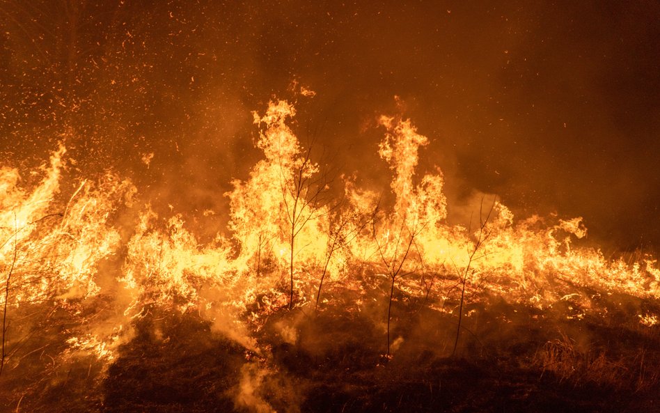 Rosja płonie coraz szybciej, Syberia walczy z ogniem