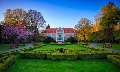 Gdańsk otwiera Park Oliwski na dendrologiczne spacery wśród 200-letnich dębów i platanów