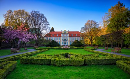 Gdańsk otwiera Park Oliwski na dendrologiczne spacery wśród 200-letnich dębów i platanów