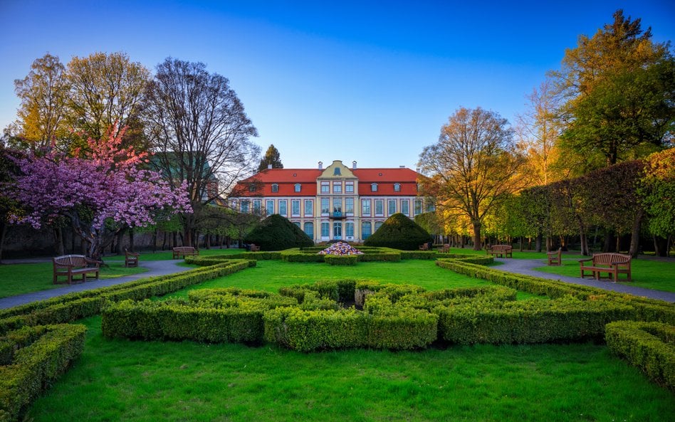 Gdańsk otwiera Park Oliwski na dendrologiczne spacery wśród 200-letnich dębów i platanów