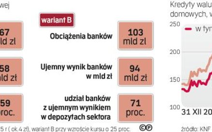Koszty ustawy frankowej byłyby zbyt wysokie.