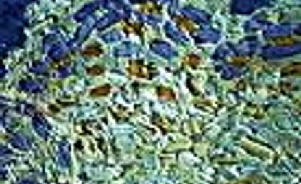 Jean Echenoz Ravel przeł. Anna Wasilewska Noir sur Blanc, Warszawa 2009