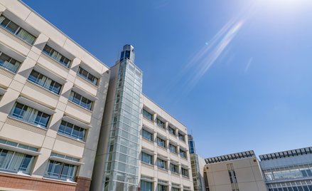 Ceny za pokoje w akademikach ostro w górę – co na to prawo?