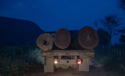 Ostatni miesiąc rządów Bolsonaro tragiczny dla Amazonii