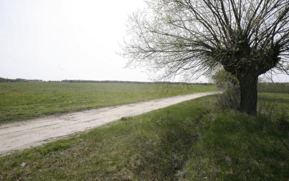 Decyduje data nabycia działki, a nie zniesienia współwłasności