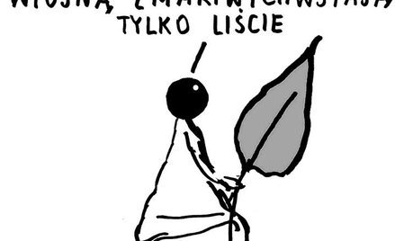 Komentarz rysunkowy