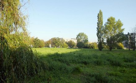 Wyższe ceny wywoławcze ziemi