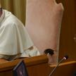 Tomasz Terlikowski. Synod w sprawie Amazonii czyli nowa reformacja w praktyce