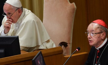 Tomasz Terlikowski. Synod w sprawie Amazonii czyli nowa reformacja w praktyce