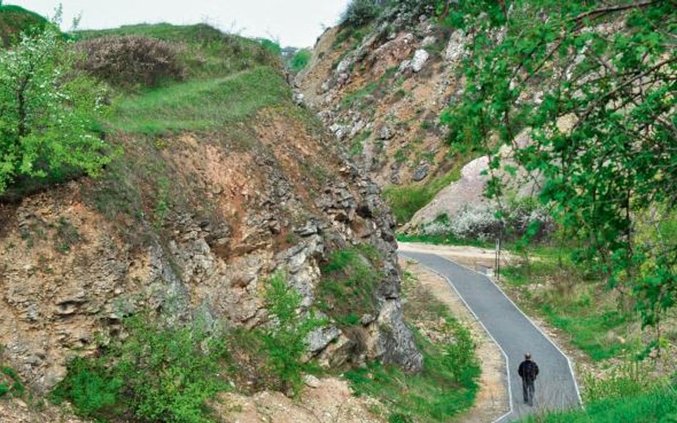 Geopark-Kielce oferuje zarówno ścieżki turystyczne, jak i ekspozycję czy seans w kinie 5d, a także w