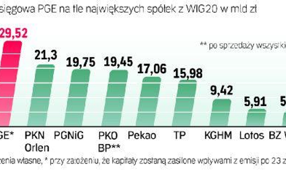 Ile warto zapłacić za akcje energetycznego potentata?