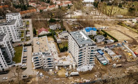 Deweloperzy na niskich obrotach, Kowalscy porzucili kielnie