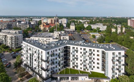 Develia ze spowolnieniem sprzedaży latem. Plan to przewidywał