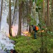 Rosja: Pożary lasów duszą syberyjskie miasta