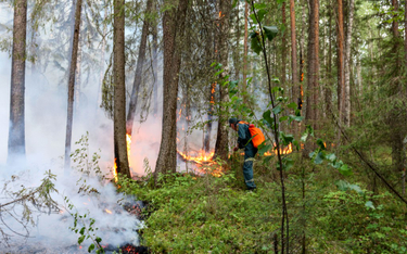 Rosja: Pożary lasów duszą syberyjskie miasta