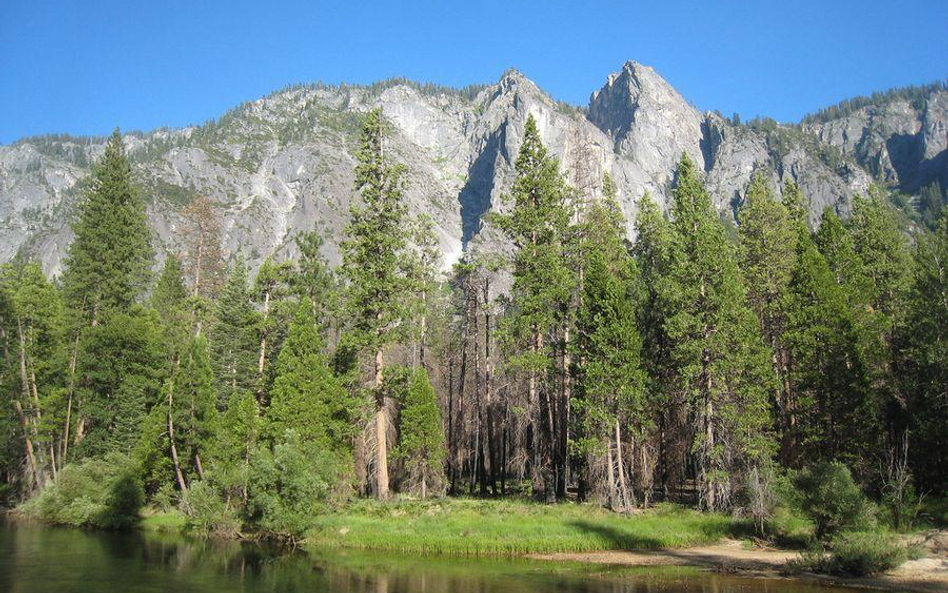 Park Narodowy Yosemite