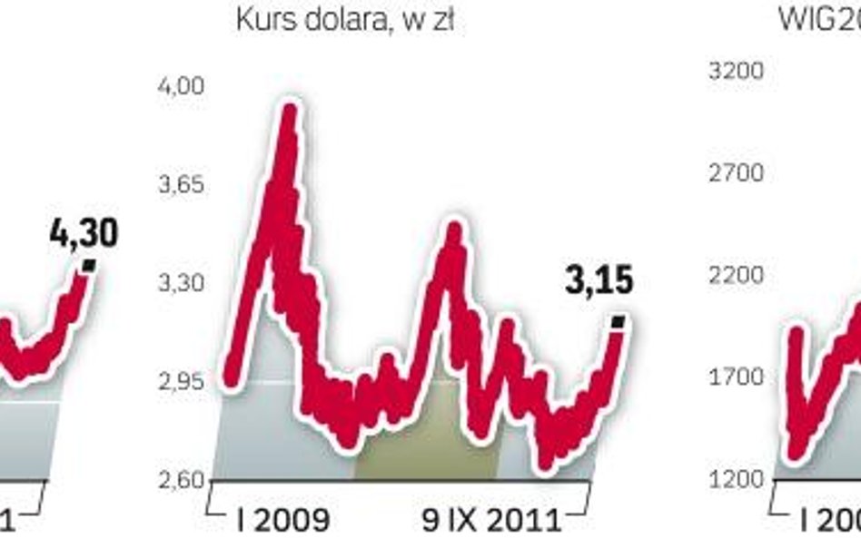 Polska waluta coraz sŁabsza, wig20 stracił niemal 5 procent