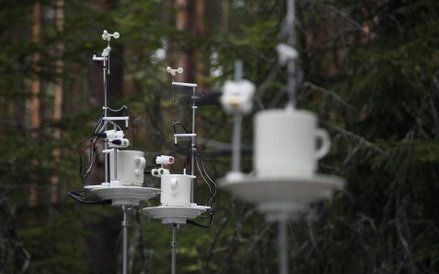 Dzieło Agnes Meyer-Brandis