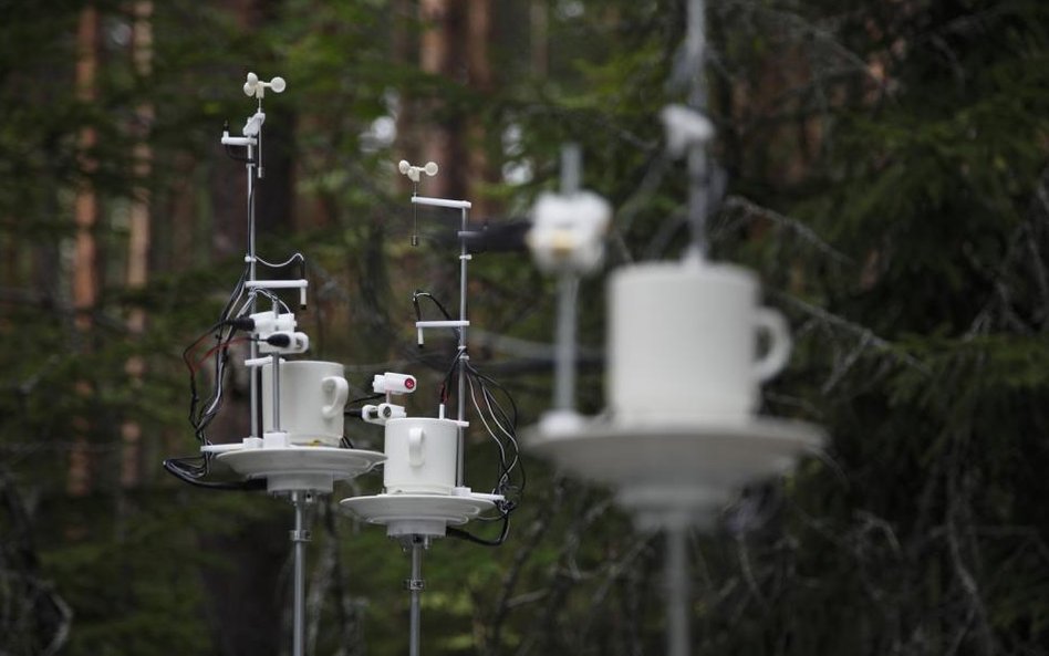 Dzieło Agnes Meyer-Brandis