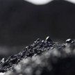 Do Polski trafia węgiel wydobywany w Donbasie