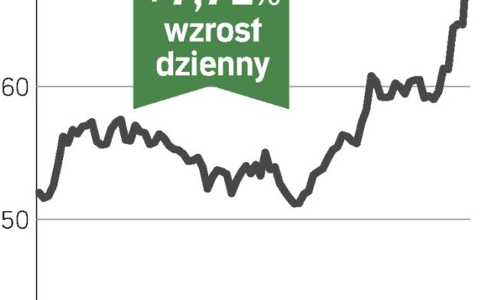 Wzrost dzięki dobrym wynikom