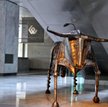 Historia sprzyja teraz bykom