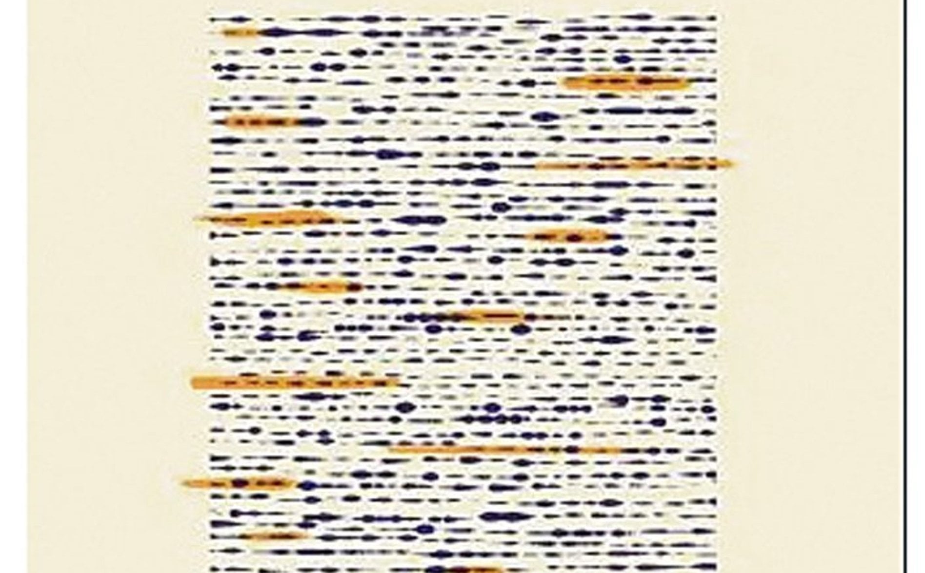 „Biblia Dorégo”: Próba ognia
