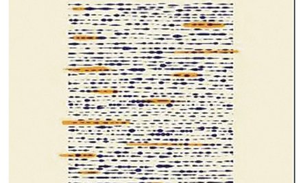 „Biblia Dorégo”