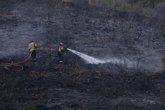 Akcja strażaków w parku Collserola w okolicach Barcelony
