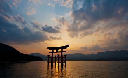 Japonia: Homoseksualista chce dziedziczyć po partnerze. "Nie ma prawa"
