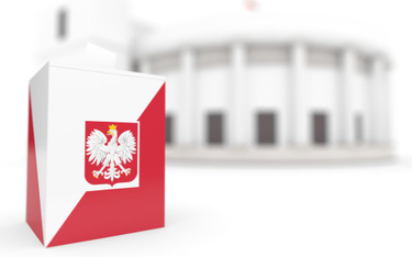 Ordynacja wyborcza do Sejmu: największe partie zyskają na mniejszych okręgach